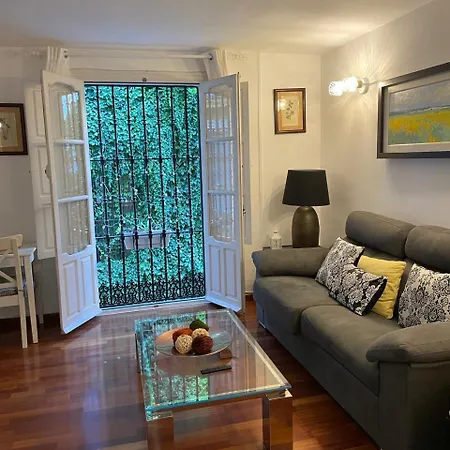 Apartamento Centro-casco Antiguo -vidrio 36 *